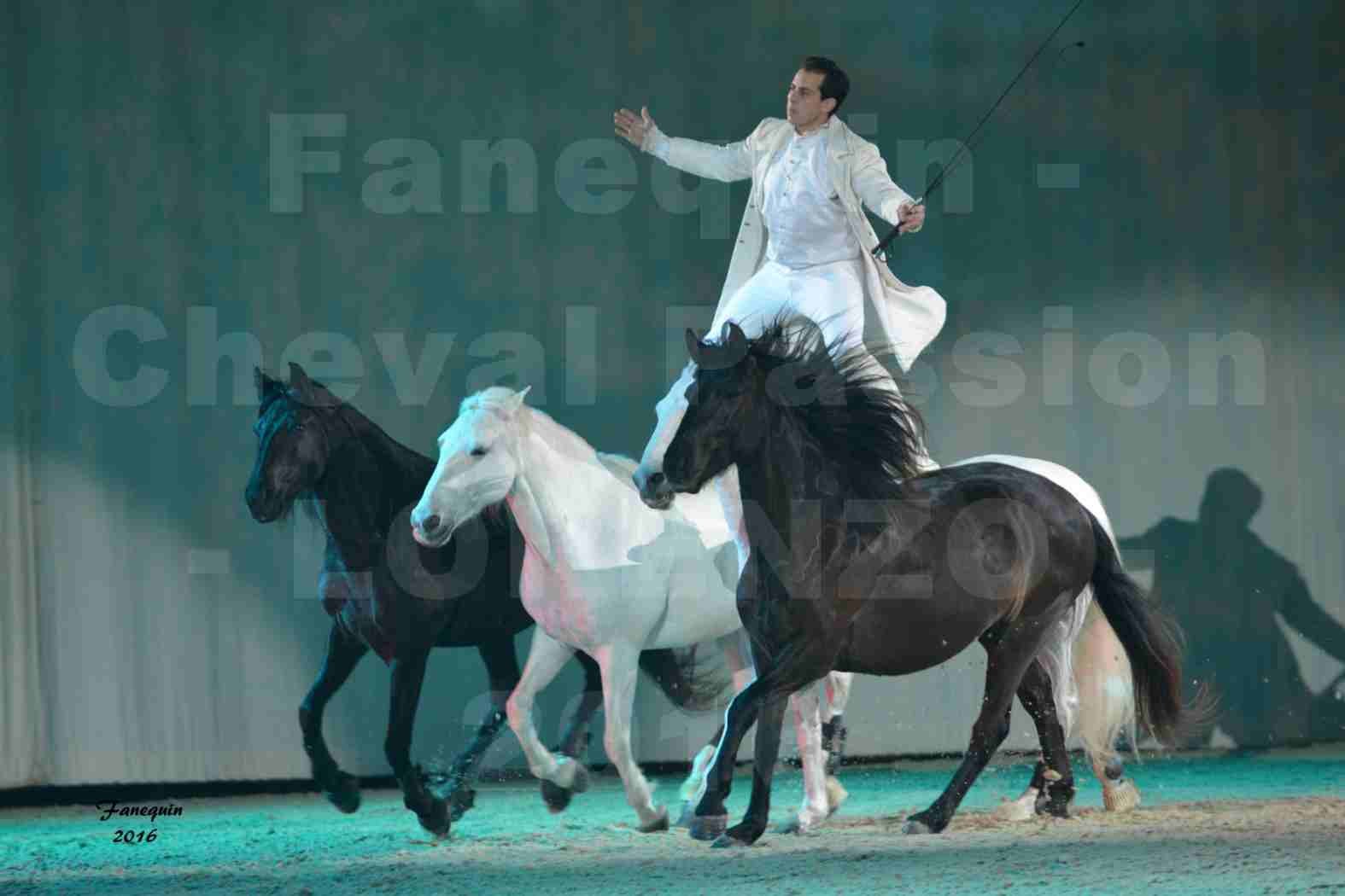 Cheval Passion 2016 - Spectacle les Crinières d'OR - LORENZO "Blanc" - représentation du 23 janvier 2016 - 20