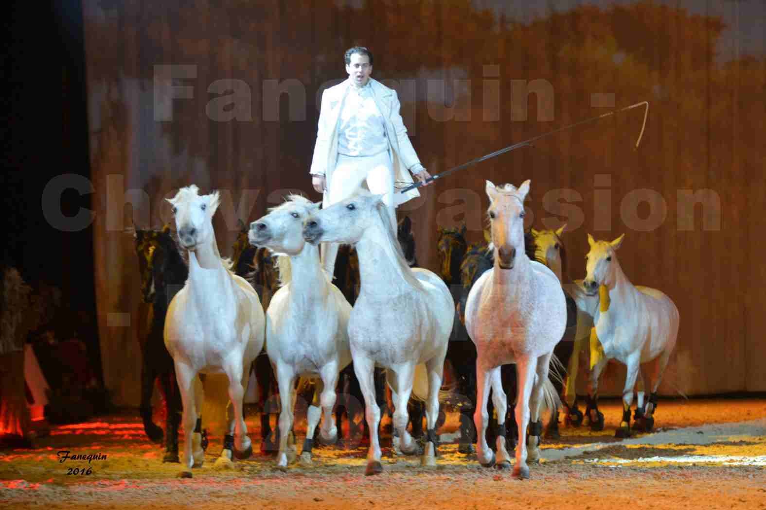 Cheval Passion 2016 - Spectacle les Crinières d'OR - LORENZO "Blanc" - représentation du 23 janvier 2016 - 32