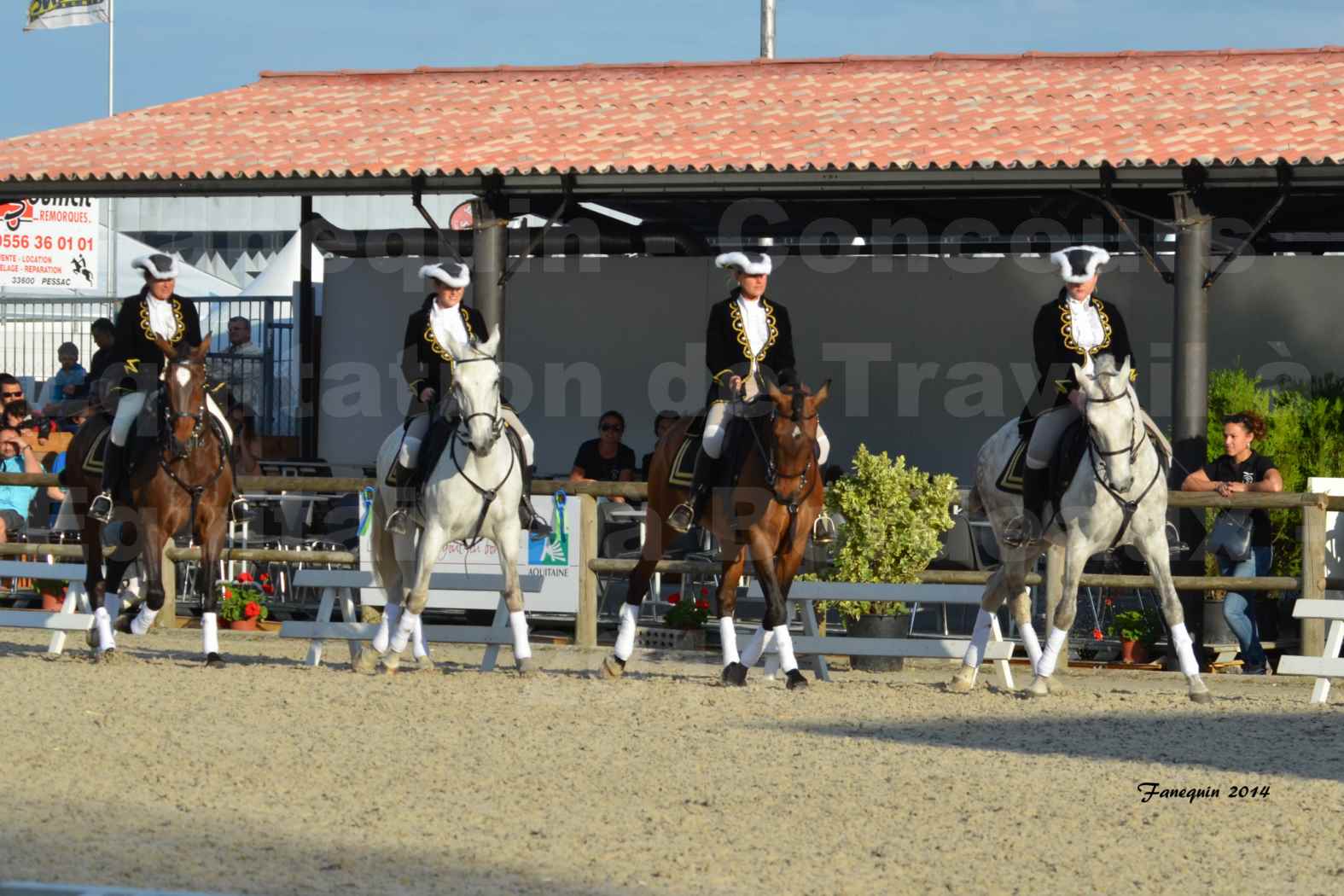 Carrousel de cavalières Equitation de travail lors du salon "Equitaine" à Bordeaux en 2014 - 13
