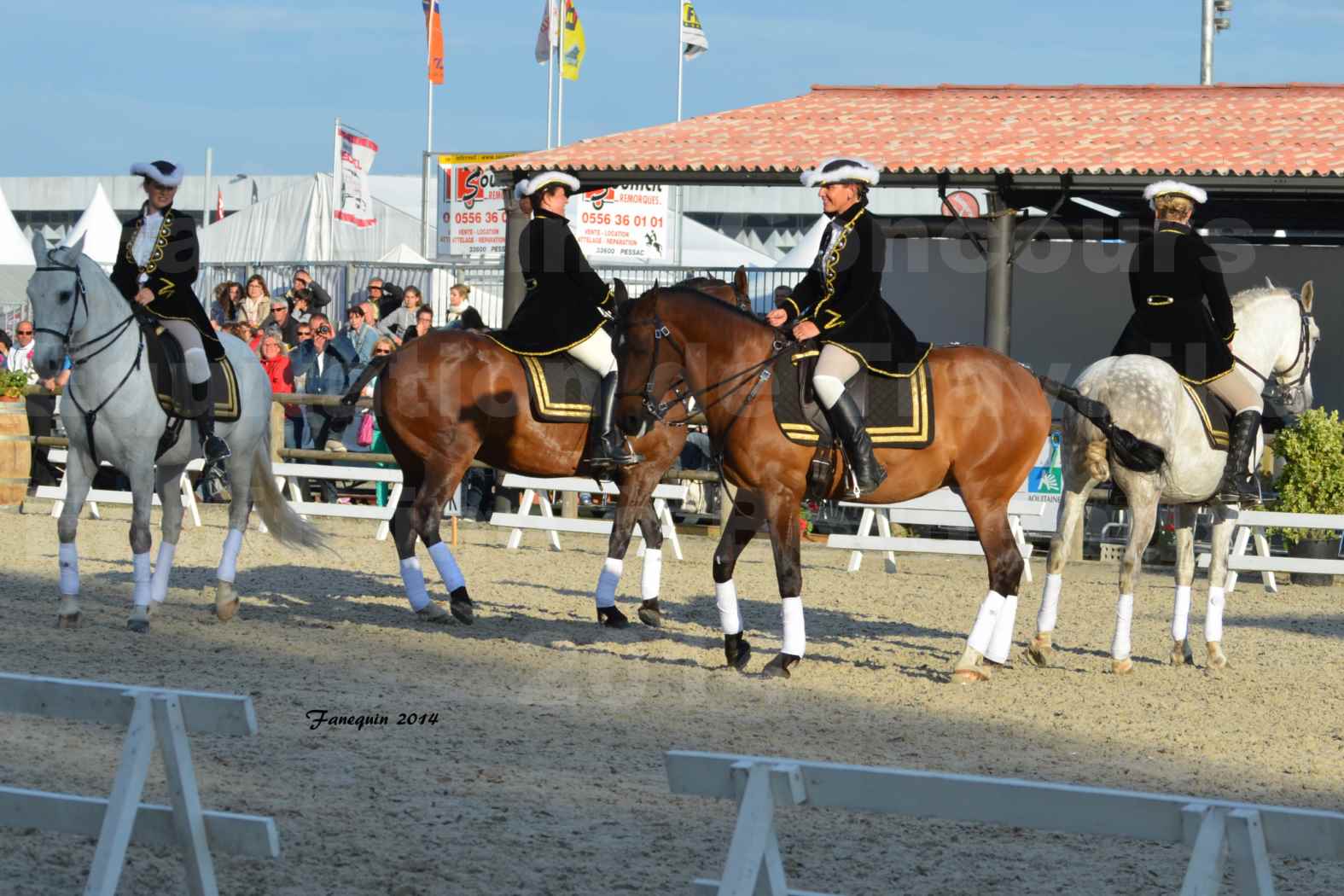 Carrousel de cavalières Equitation de travail lors du salon "Equitaine" à Bordeaux en 2014 - 37