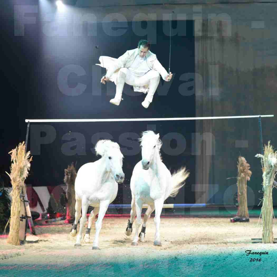 Cheval Passion 2016 - Spectacle les Crinières d'OR - LORENZO "Blanc" - représentation du 23 janvier 2016 - 04