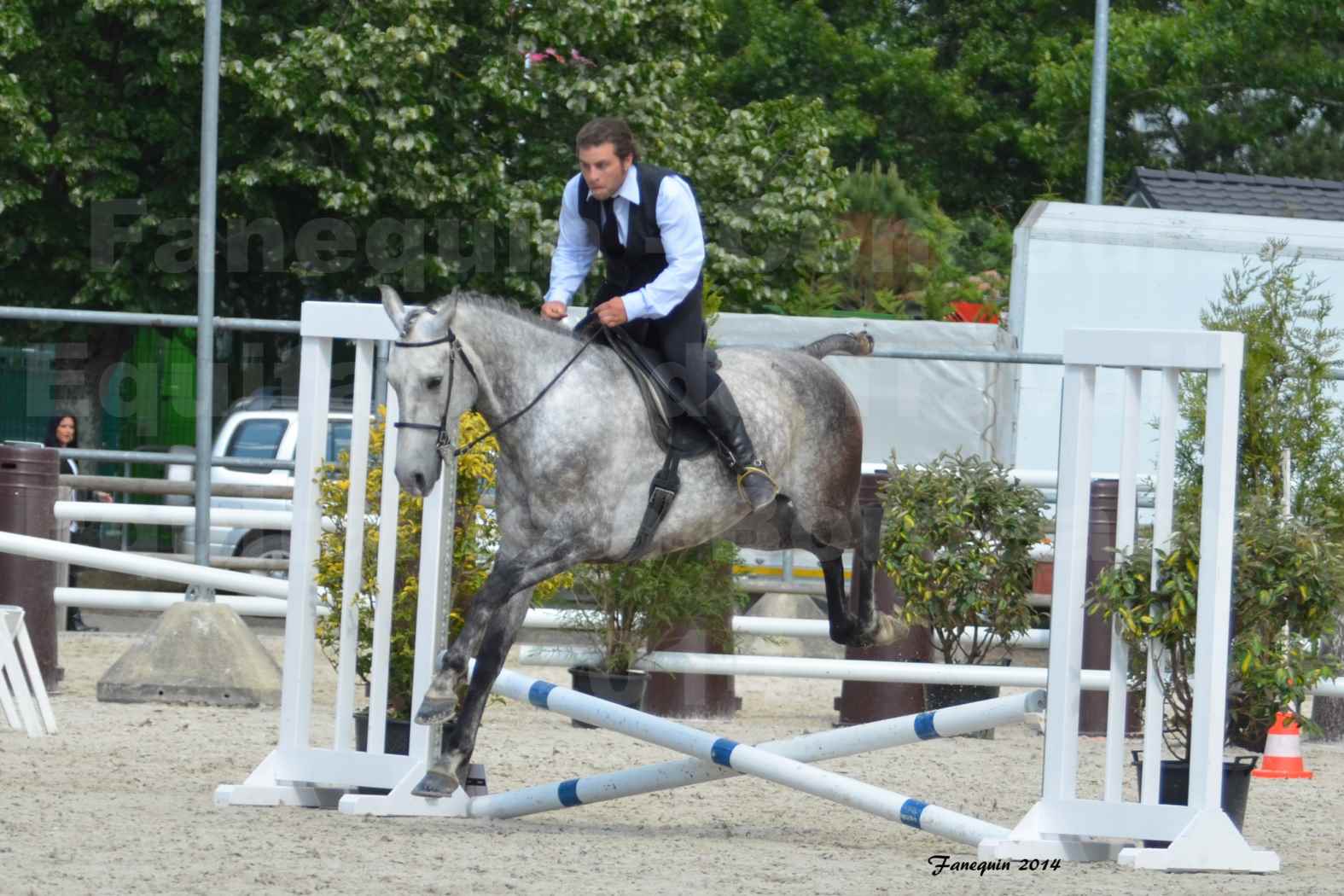 Salon Equitaine de Bordeaux en 2014 - concours Equitation de travail - Épreuve de Maniabilité chronométré - J - 2