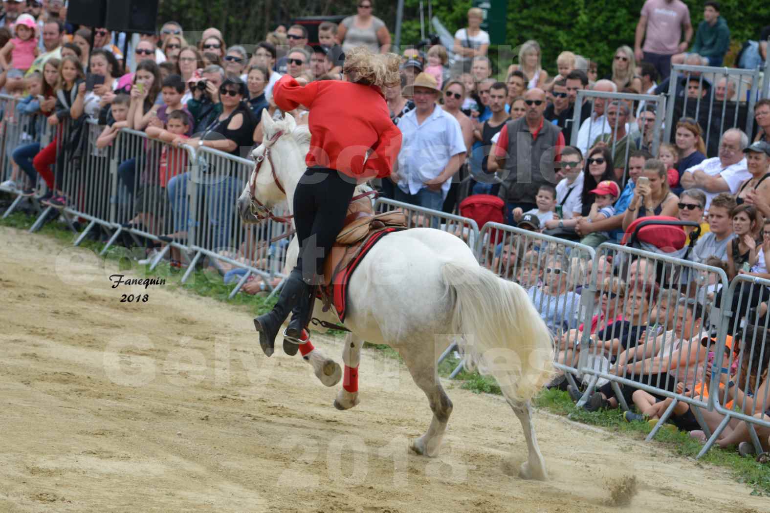 Spectacle Équestre le 3 juin 2018 à Saint Gély du Fesc - Voltige équestre - Troupe de Jean Antoine FIRMIN - 08