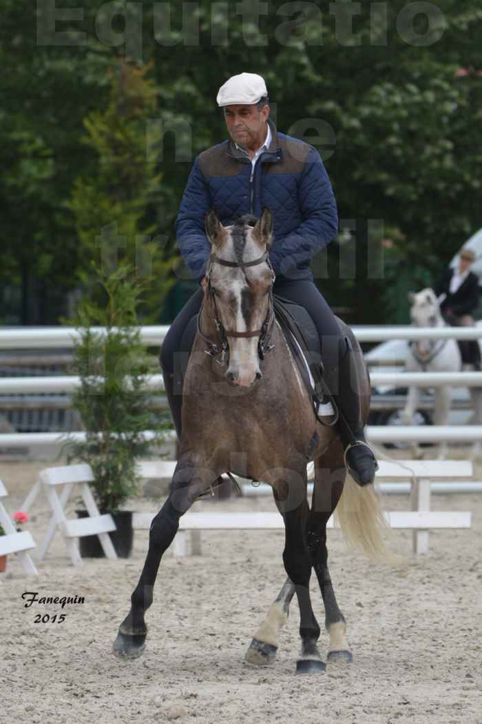 Salon Equitaine de Bordeaux 2015 - Concours d'Equitation de Travail avec chevaux Ibériques - L - 03