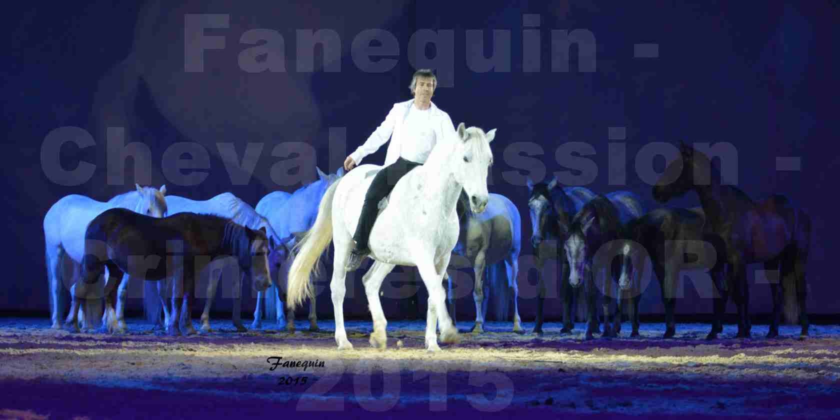 Cheval Passion 2015 - Les Crinières d'OR - Jean François PIGNON - 5