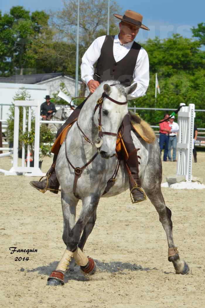 Salon Equitaine de Bordeaux en 2014 - concours Equitation de travail - Épreuve de Maniabilité chronométré - P - 08