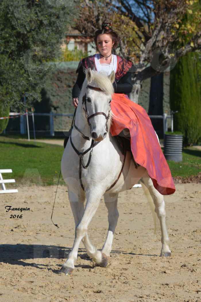 08/Concours Élégance d'Amazone au Haras d'UZES en Octobre 2016 - Léa CONTE - 08