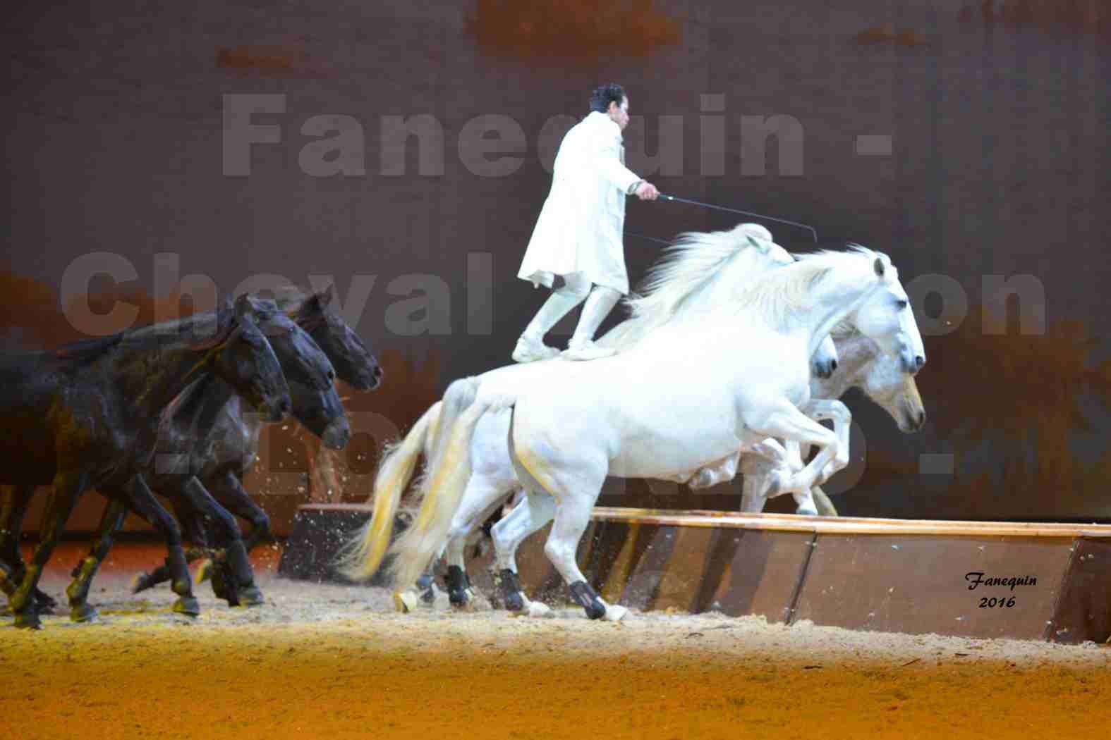 Cheval Passion 2016 - Spectacle les Crinières d'OR - LORENZO "Blanc" - représentation du 23 janvier 2016 - 34