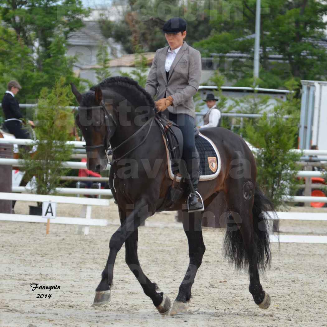 Salon Equitaine de Bordeaux en 2014 - concours Equitation de travail - Épreuve de Dressage - 07