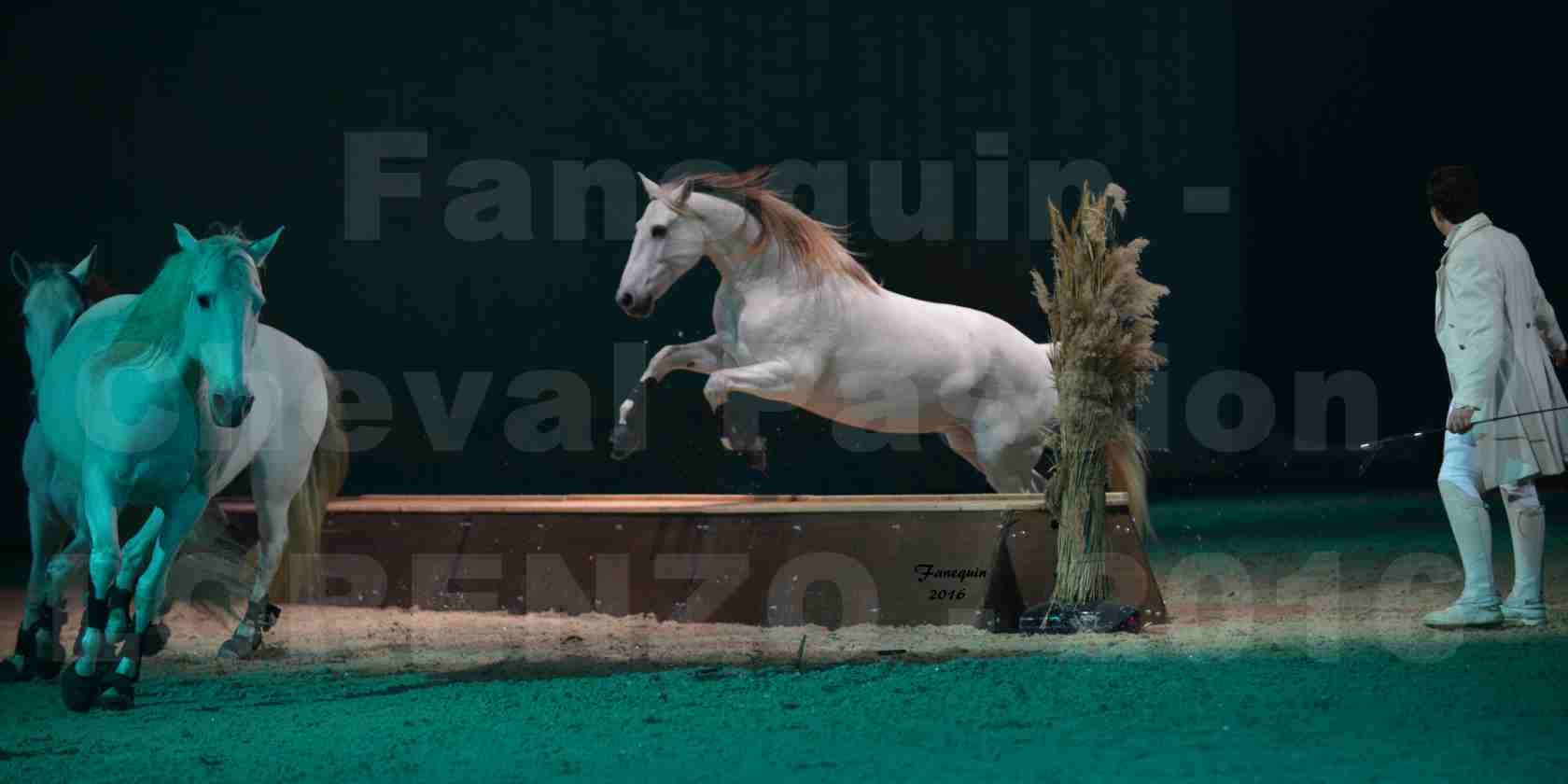 Cheval Passion 2016 - Spectacle les Crinières d'OR - LORENZO "Blanc" - représentation du 23 janvier 2016 - 15