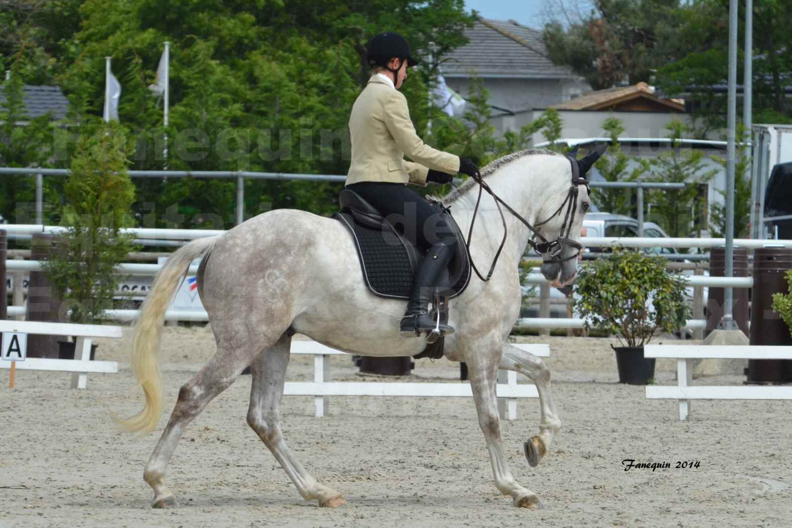 Salon Equitaine de Bordeaux en 2014 - concours Equitation de travail - Épreuve de Dressage - 09