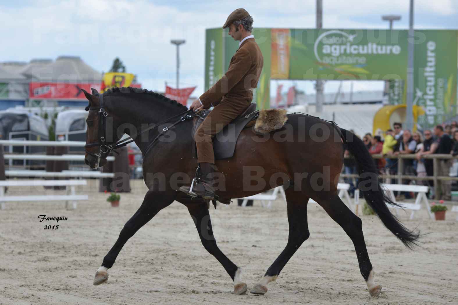 Salon Equitaine de Bordeaux 2015 - Concours d'Equitation de Travail avec chevaux Ibériques - J - 5