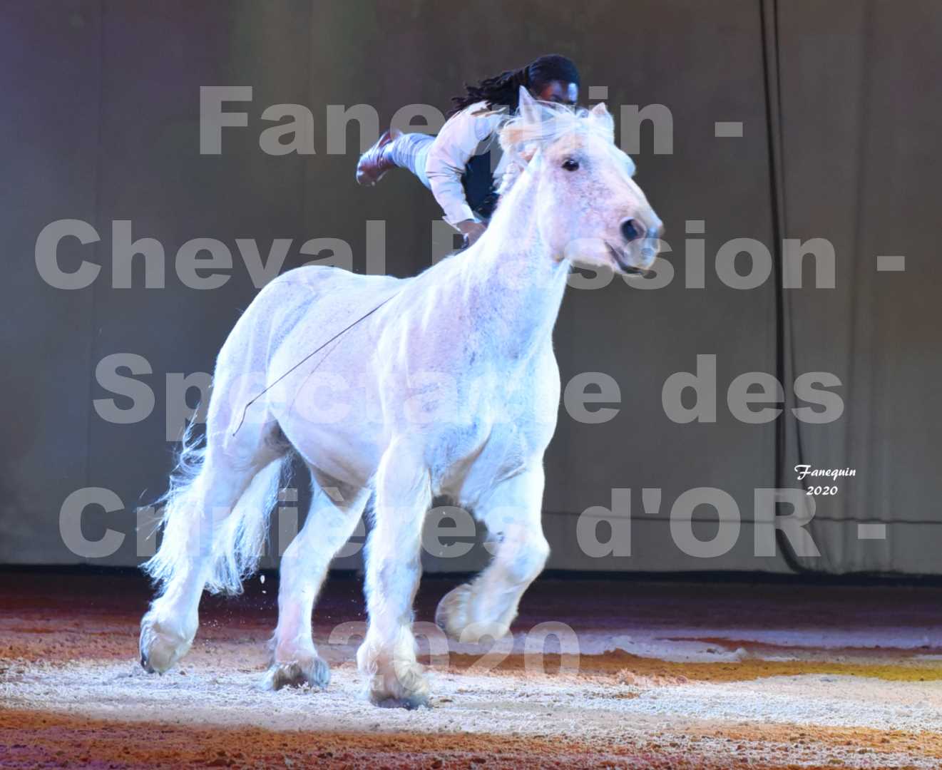 Cheval Passion 2020 - Les Crinières d'OR - Samuel HAFRAD & Jérôme SEFER - 23