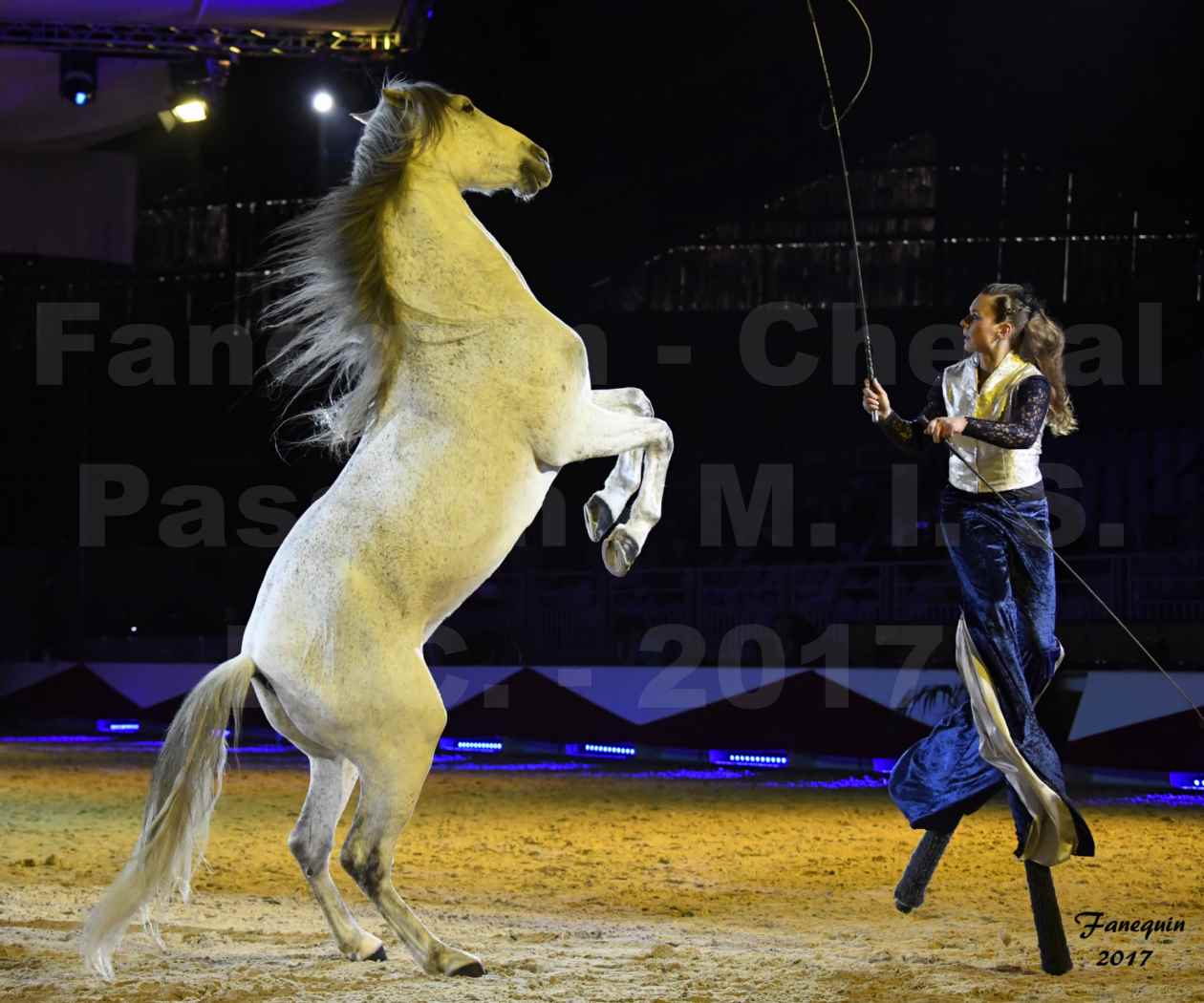 Cheval Passion 2017 - M. I. S. E. C. - Lucie VAUTHIER & 3 chevaux en liberté - 07