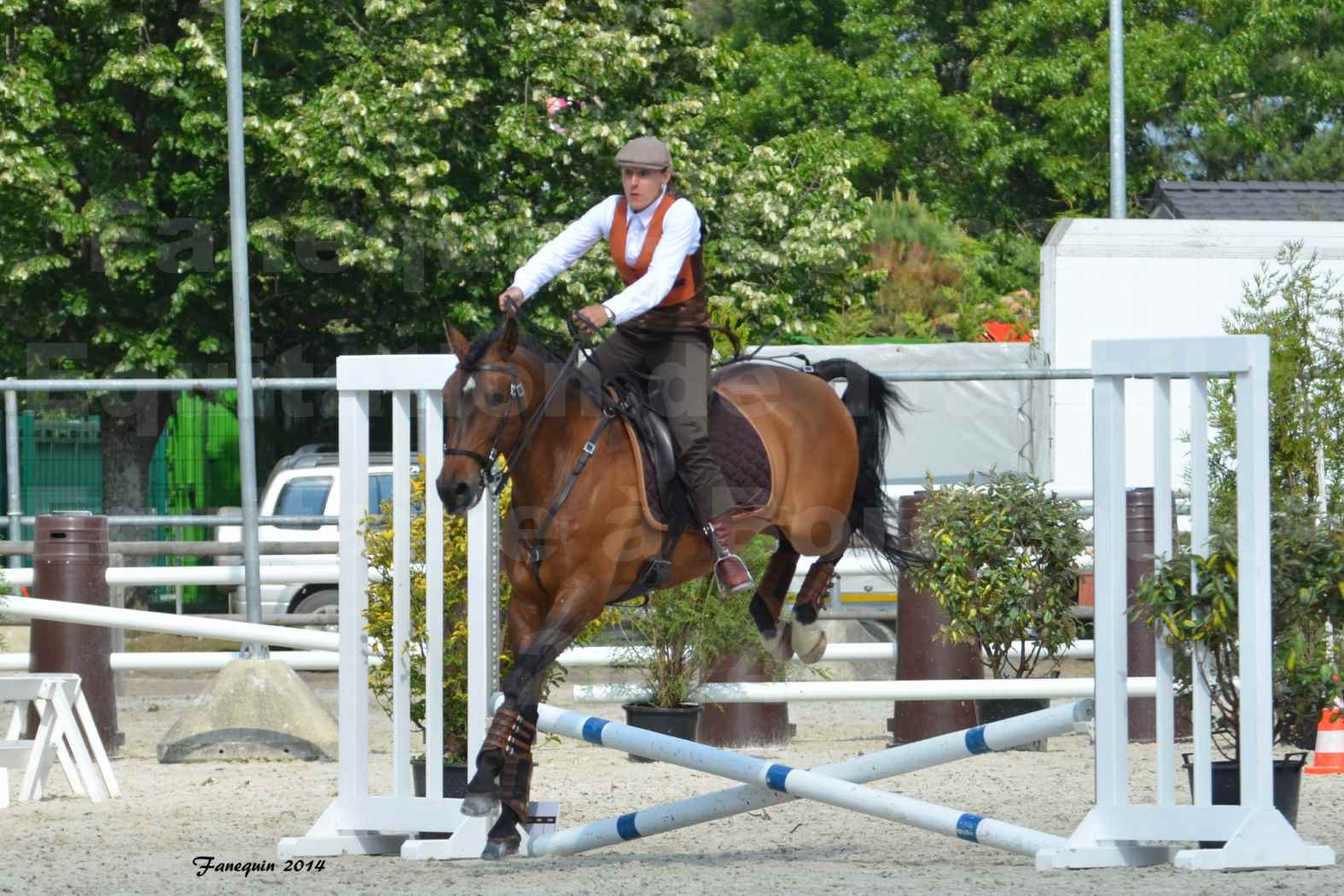 Salon Equitaine de Bordeaux en 2014 - concours Equitation de travail - Épreuve de Maniabilité chronométré - N - 07