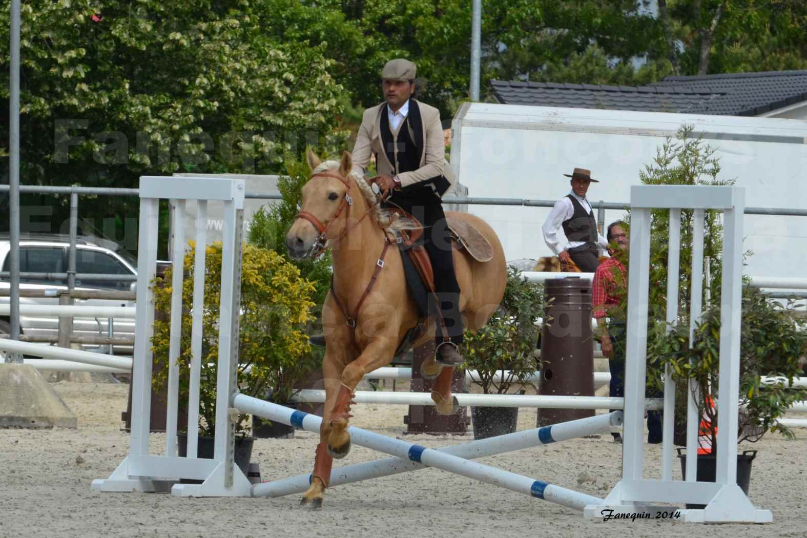 Salon Equitaine de Bordeaux en 2014 - concours Equitation de travail - Épreuve de Maniabilité chronométré - D - 13