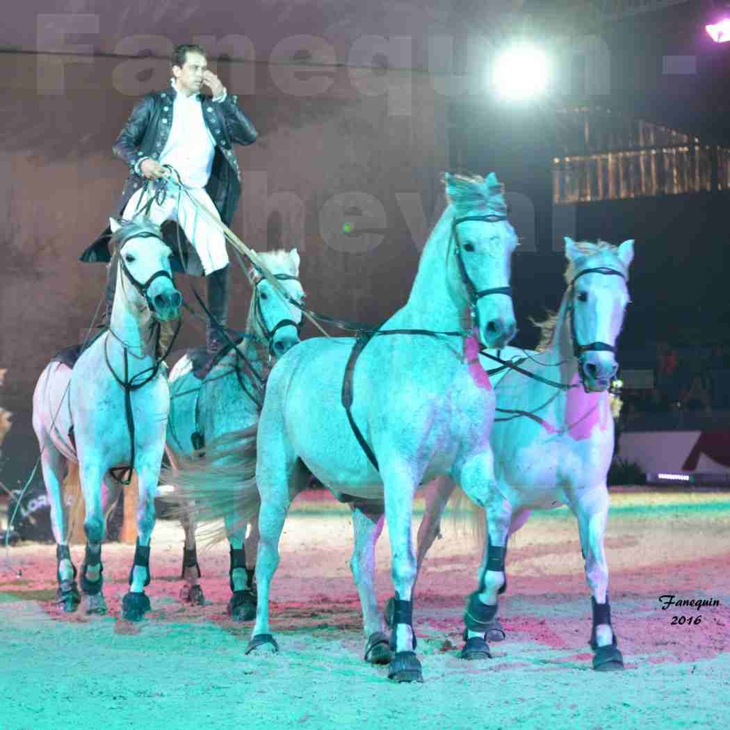 Cheval Passion 2016 - Spectacle les Crinières d'OR - LORENZO "Noir" - représentation du 23 janvier 2016 - 13