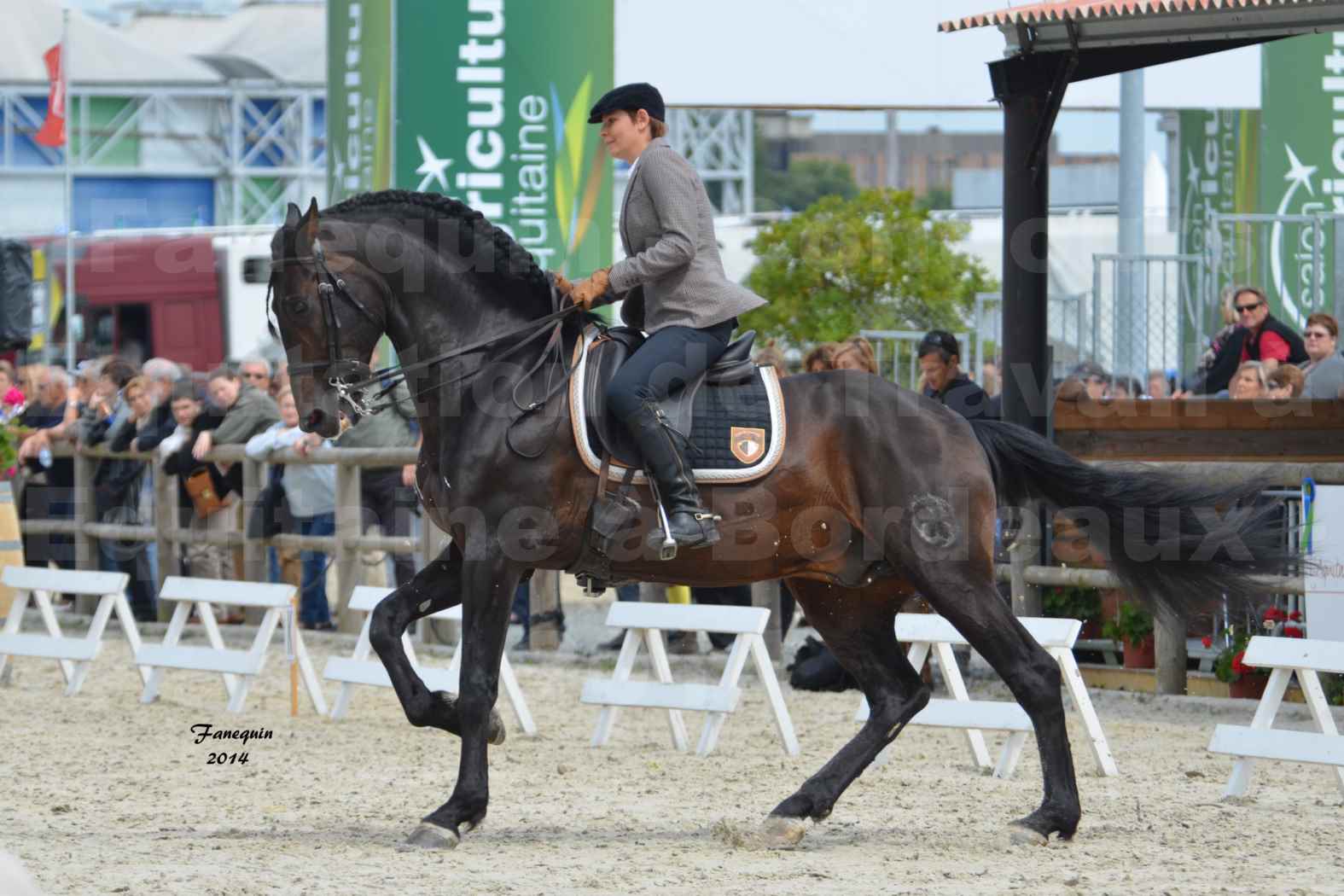 Salon Equitaine de Bordeaux en 2014 - concours Equitation de travail - Épreuve de Dressage - 13
