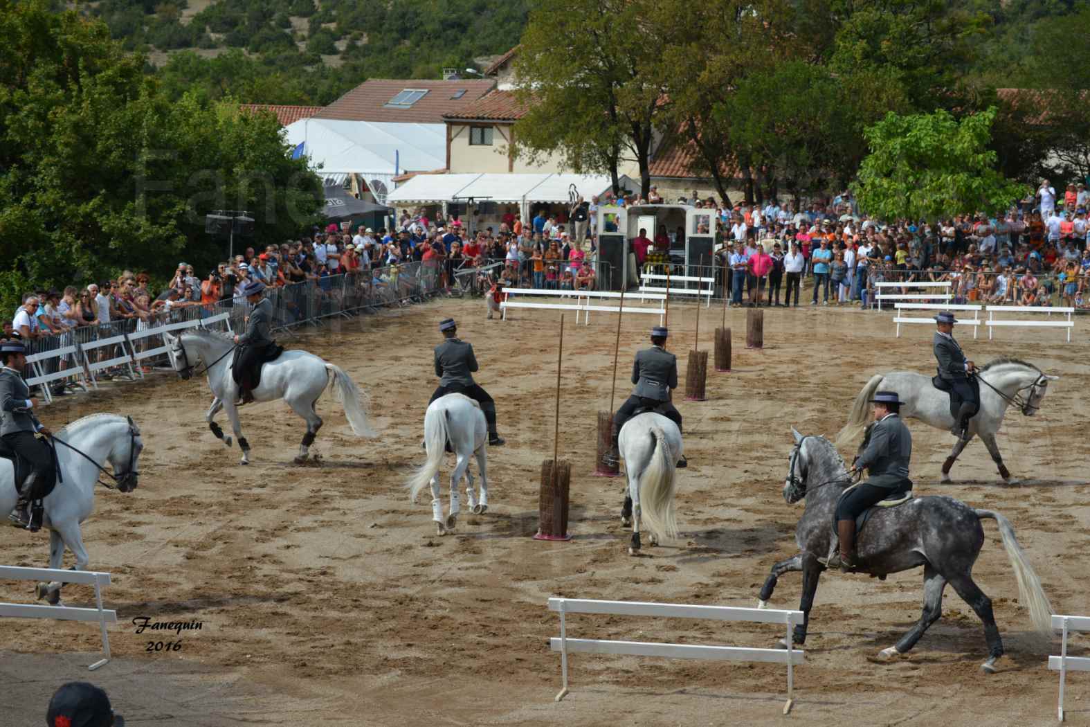 Spectacle équestre le 4 Septembre 2016 au Domaine de GAILLAC - Démonstration de CARROUSEL de chevaux LUSITANIENS - 11