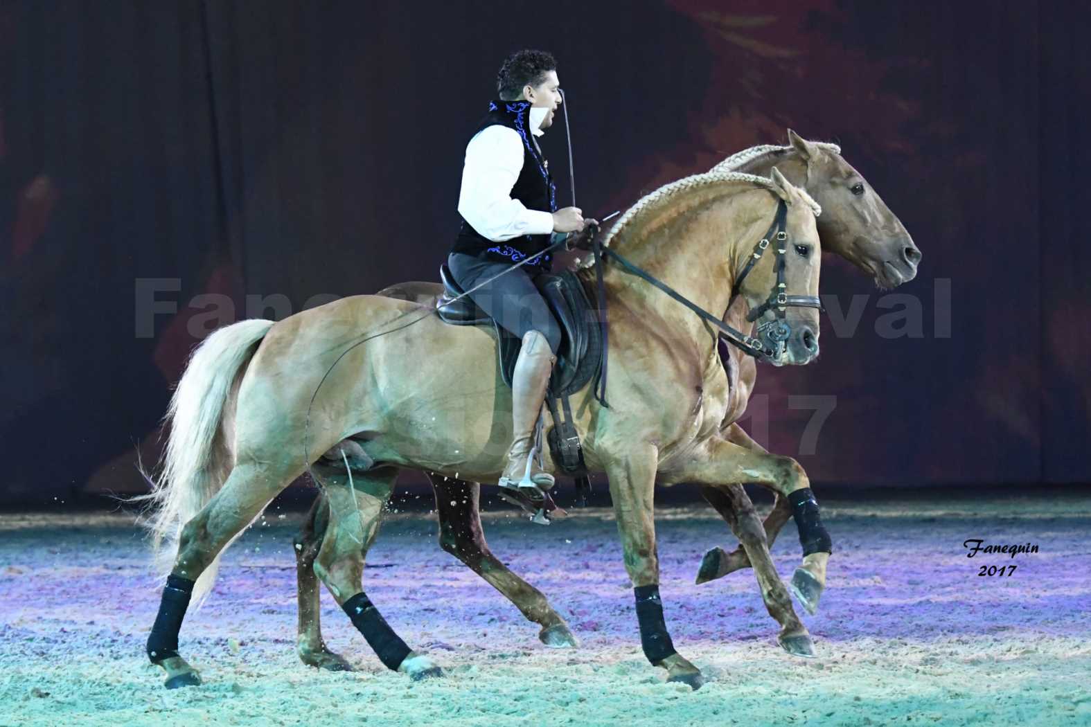 Cheval Passion 2017 - gala des Crinières d'OR - GARI ZOHER - 08