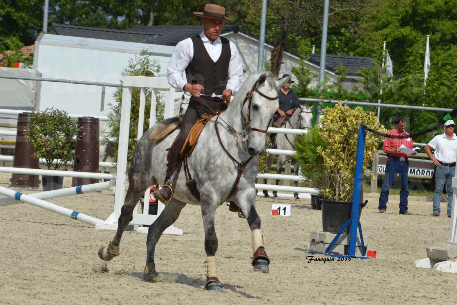 Salon Equitaine de Bordeaux en 2014 - concours Equitation de travail - Épreuve de Maniabilité chronométré - P - 24