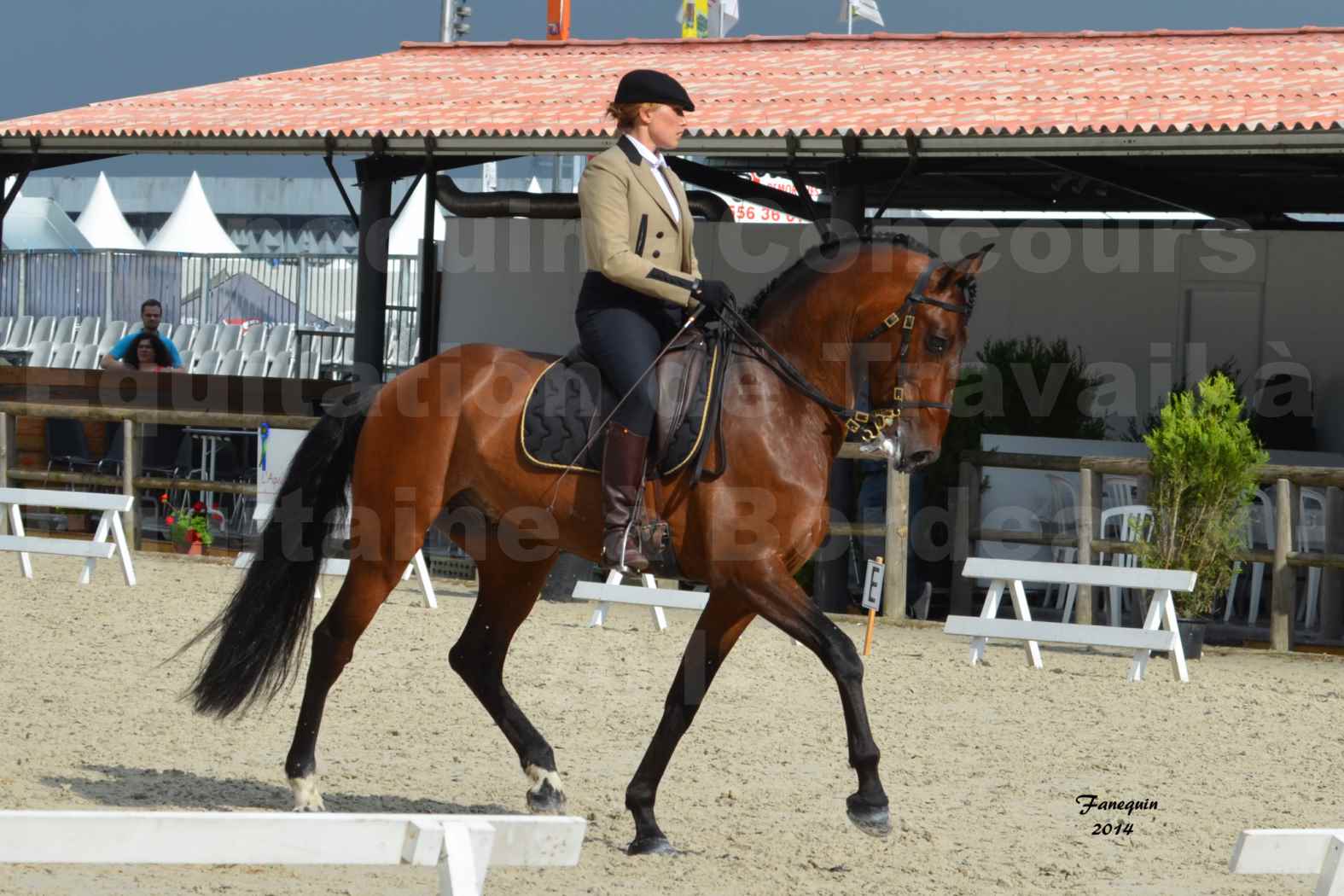 Salon Equitaine de Bordeaux en 2014 - concours Equitation de travail - Épreuve de Dressage - 02