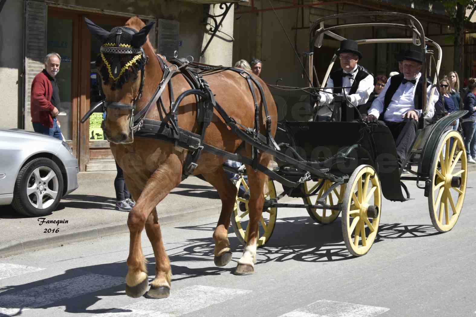 Défilé de calèches de 1900 dans les rues de Villeneuve d'Aveyron le 15 mai 2016 - Attelage simple de Trotteur - calèche 4 roues - 5