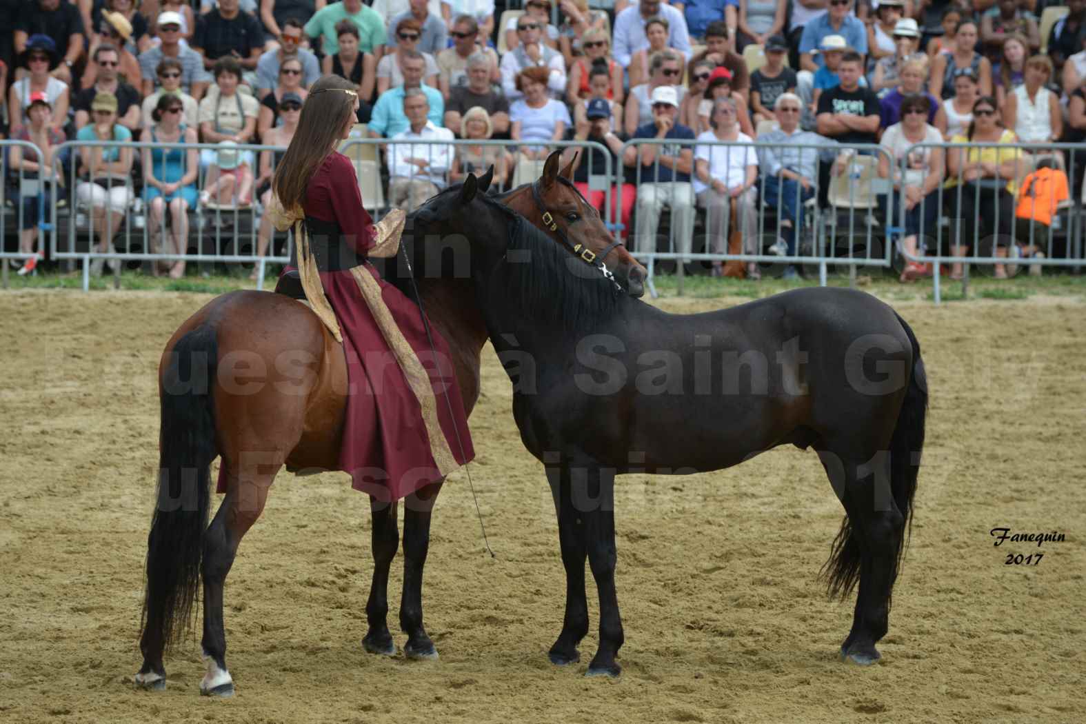 Spectacle Équestre - Salon Pêche Chasse Nature à Saint Gely du Fesc - 