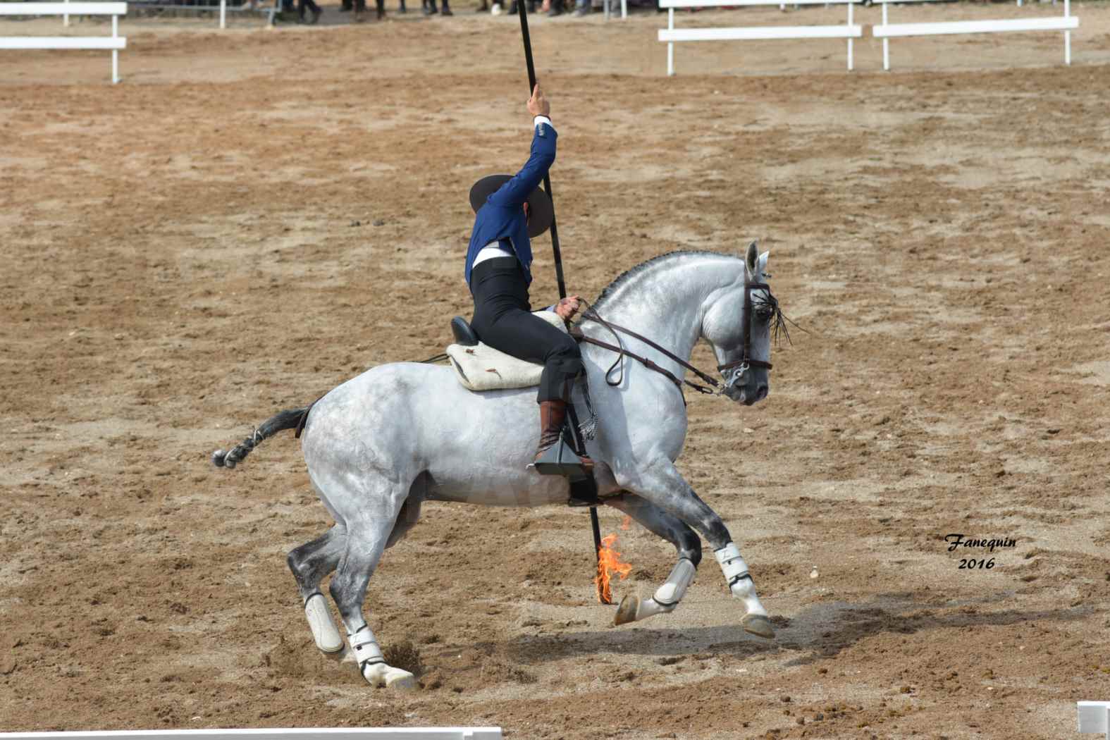 Spectacle équestre le 4 Septembre 2016 au Domaine de GAILLAC - Démonstration de Doma Vaquera - 08