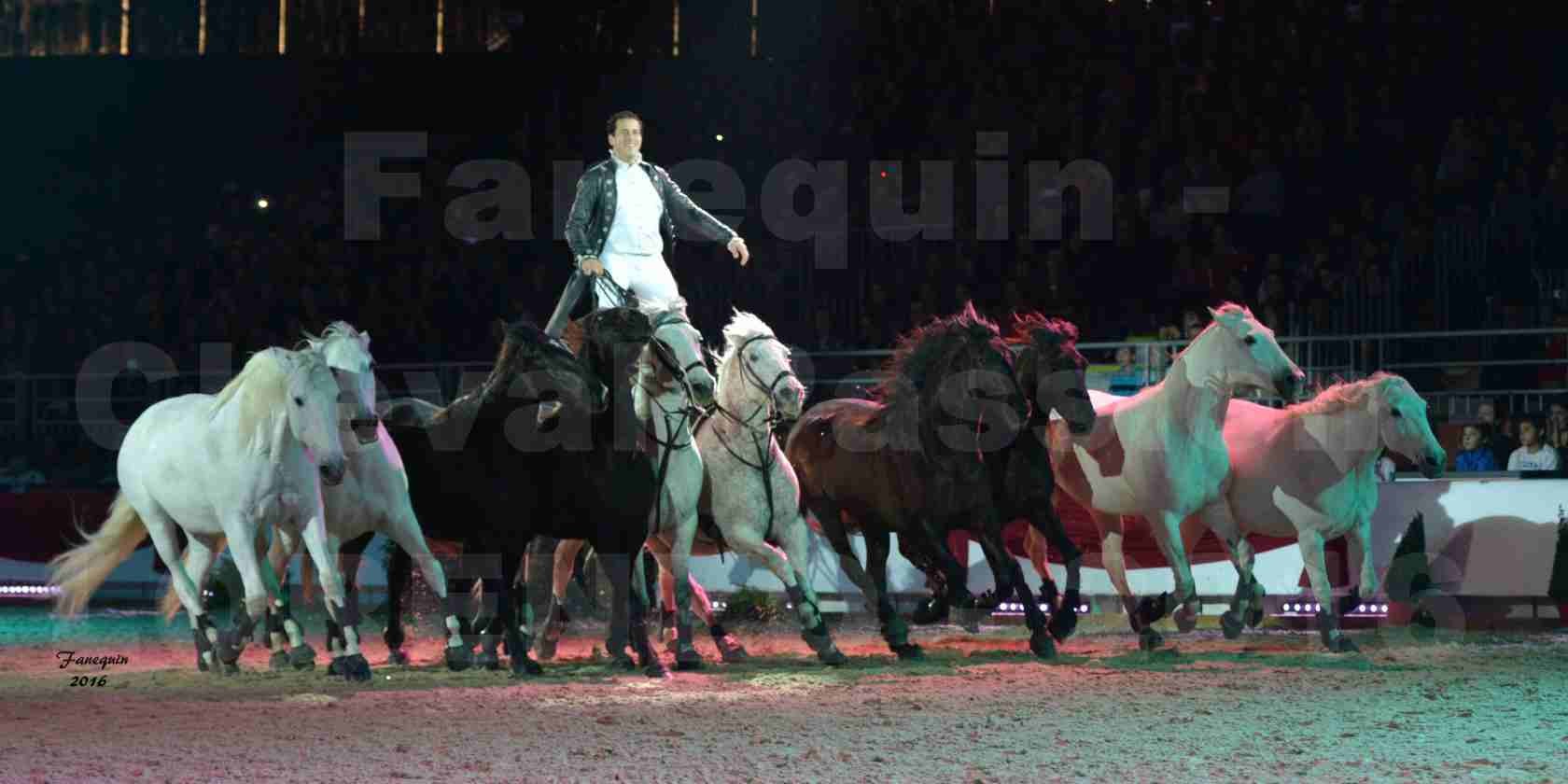 Cheval Passion 2016 - Spectacle les Crinières d'OR - LORENZO "Noir" - représentation du 23 janvier 2016 - 05