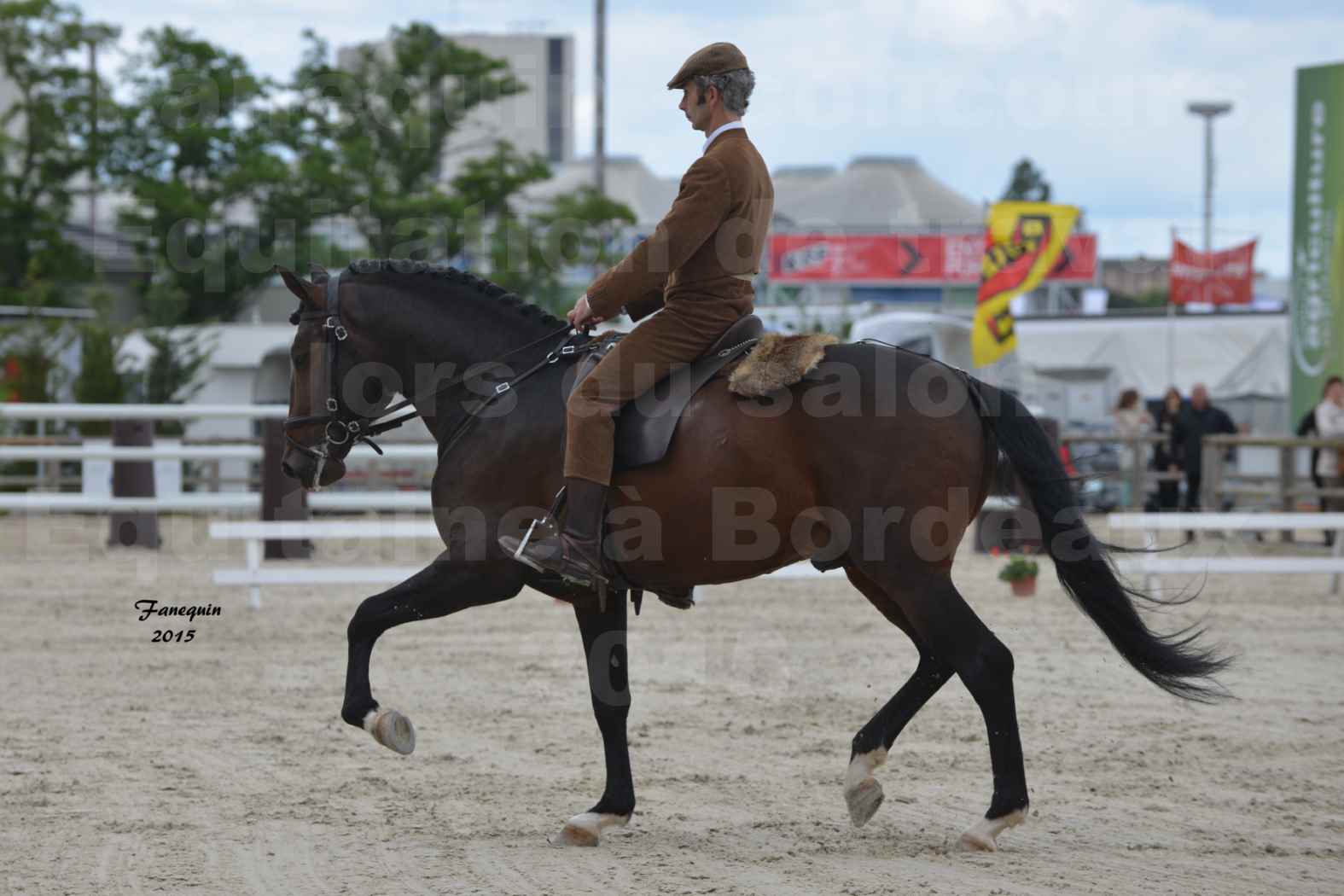 Salon Equitaine de Bordeaux 2015 - Concours d'Equitation de Travail avec chevaux Ibériques - J - 7