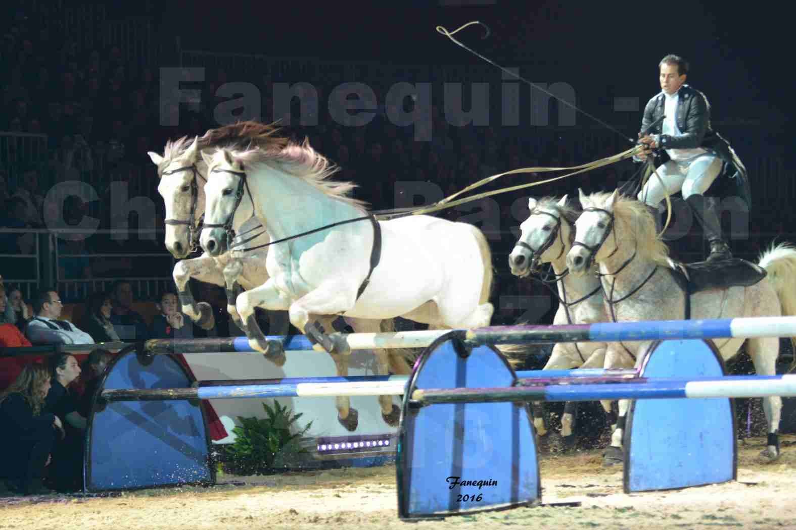 Cheval Passion 2016 - Spectacle les Crinières d'OR - LORENZO "Noir" - représentation du 20 janvier 2016 - 11