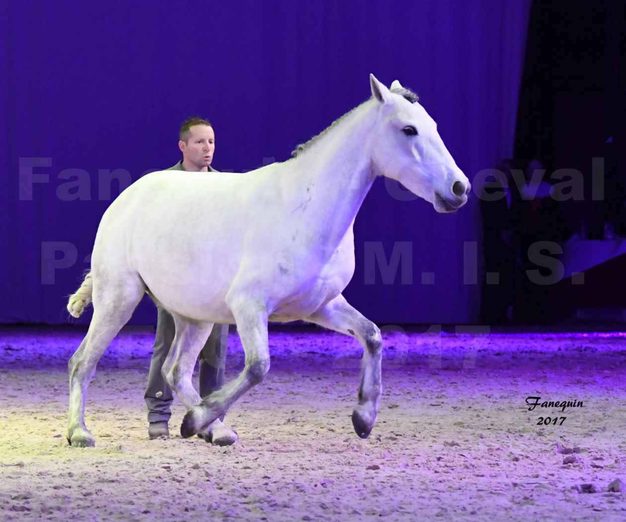 Cheval Passion 2017 - M. I. S. E. C. - Ludovic LONGO & 1 cheval en liberté - 02