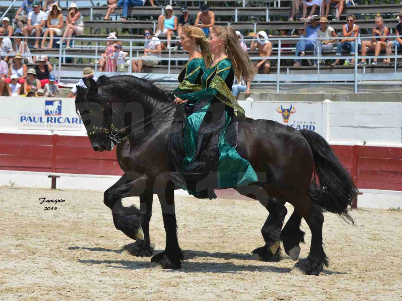 Féria du cheval à Méjanes en 2015 - Sylvie WILLMS - 02