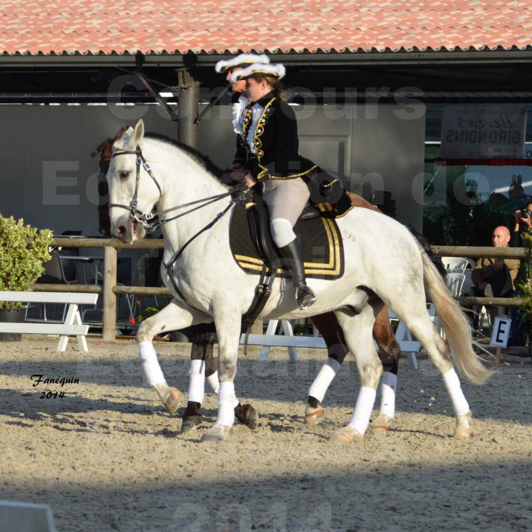 Carrousel de cavalières Equitation de travail lors du salon "Equitaine" à Bordeaux en 2014 - 42