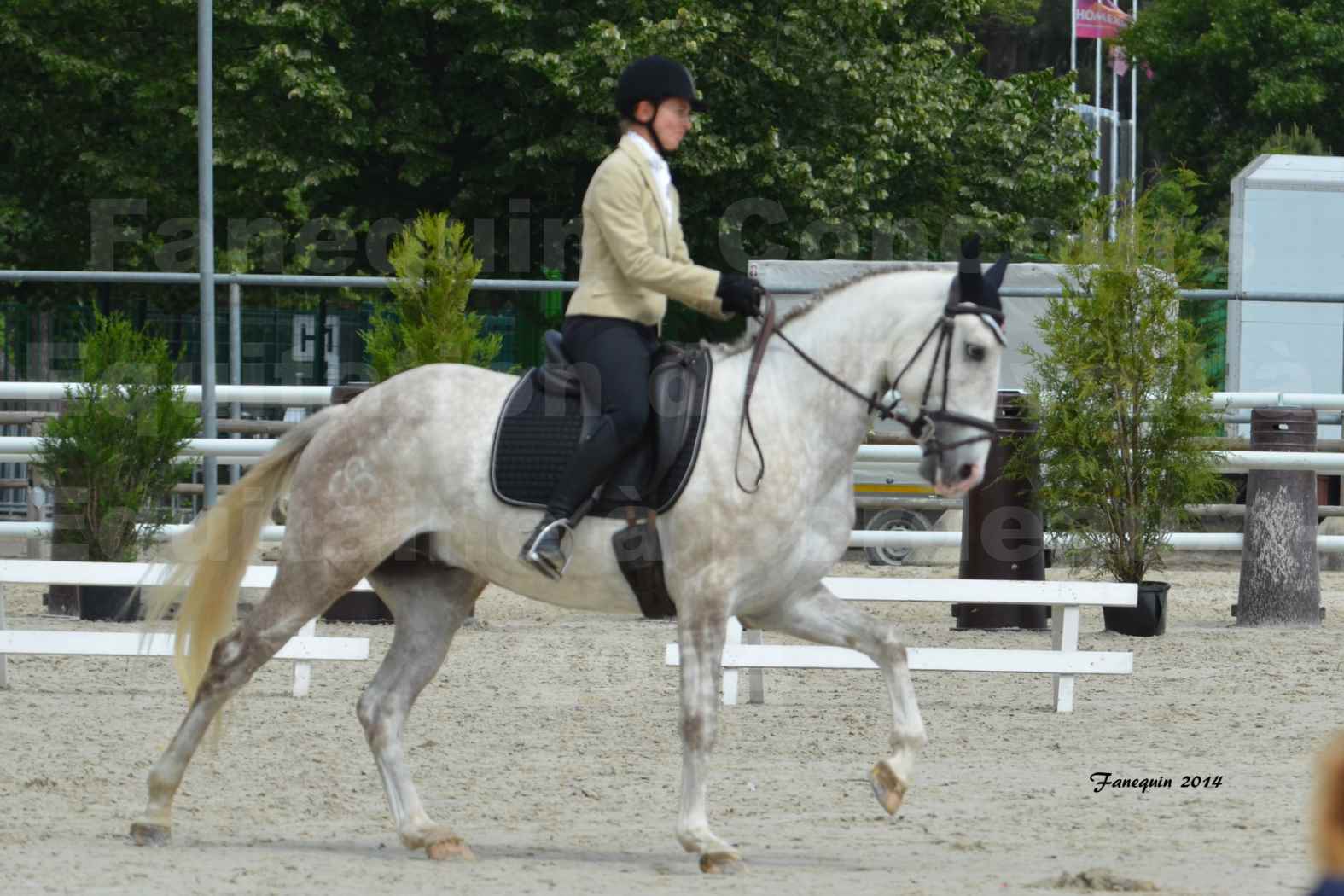 Salon Equitaine de Bordeaux en 2014 - concours Equitation de travail - Épreuve de Dressage - 08