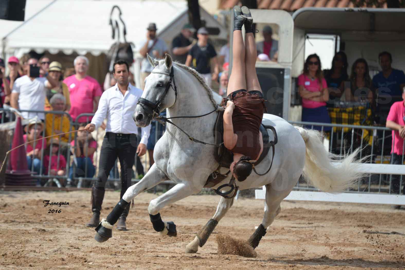 Spectacle équestre le 3 Septembre 2016 au Domaine de GAILLAC - voltige équestre avec la famille HASTALUEGO - 10