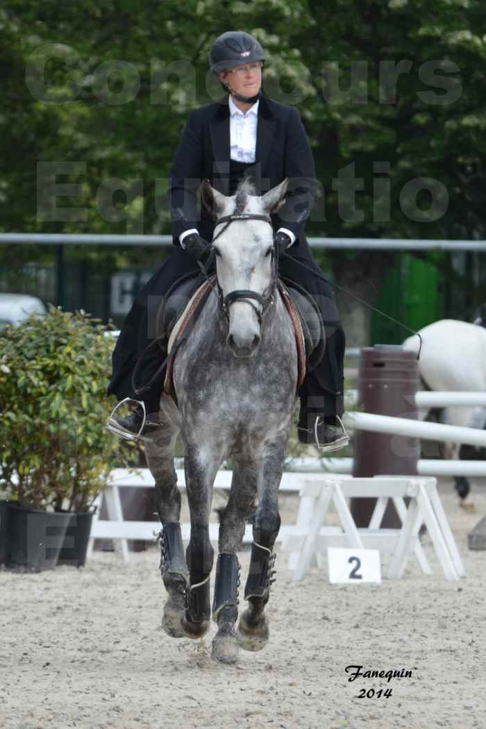 Salon Equitaine de Bordeaux en 2014 - concours Equitation de travail - Épreuve de Maniabilité chronométré - C - 1