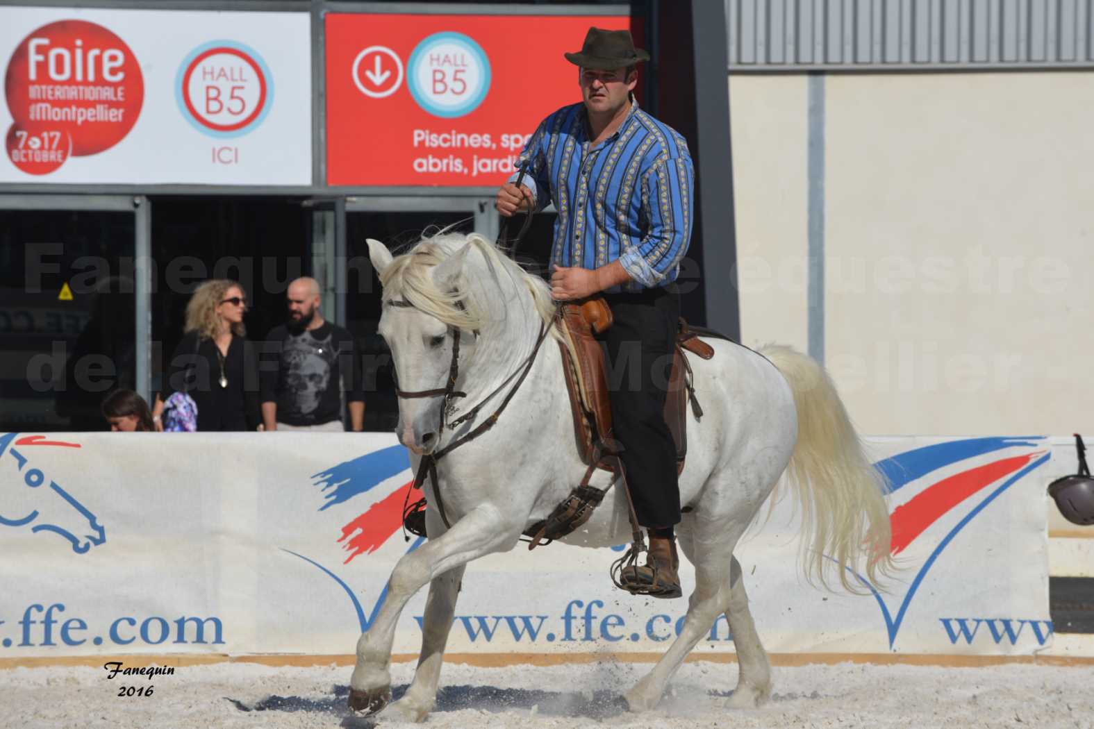 Centre équestre éphémère de la Foire de Montpellier 2016 - Samedi 08 Octobre 2016 - Cavalier Camarguais - 1