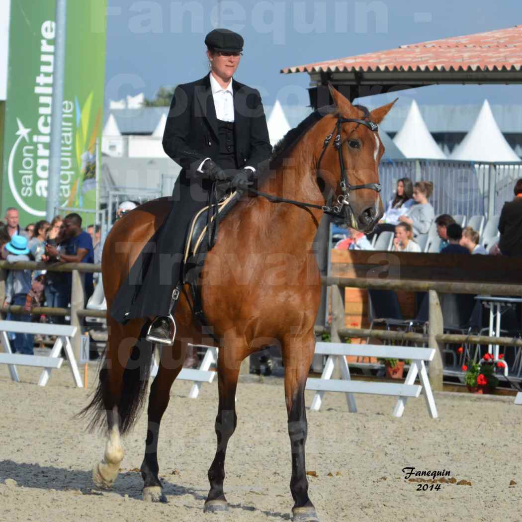 Salon Equitaine de Bordeaux en 2014 - concours Equitation de travail - Épreuve de Dressage - 01