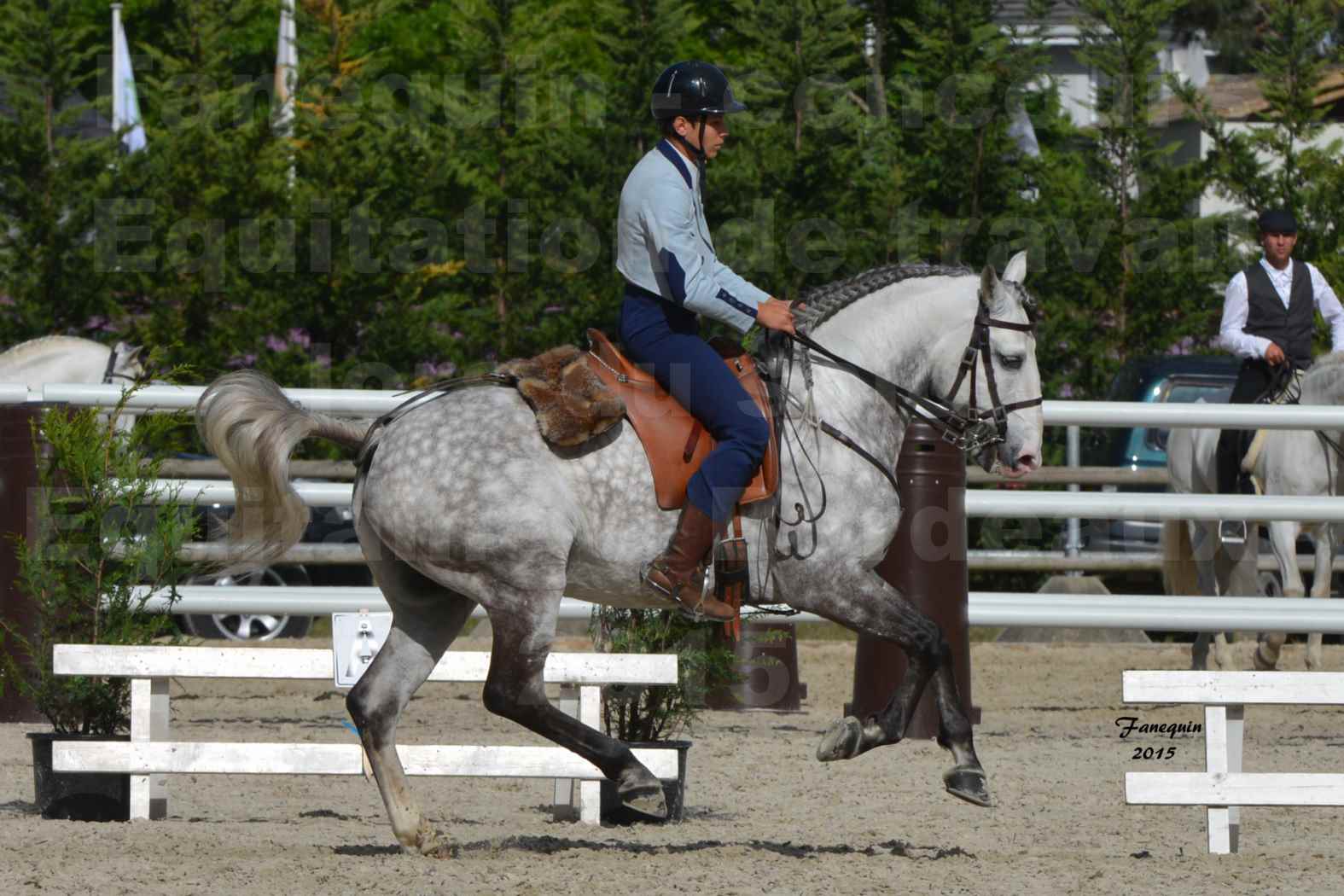 Salon Equitaine de Bordeaux 2015 - Concours d'Equitation de Travail avec chevaux Ibériques - S - 9