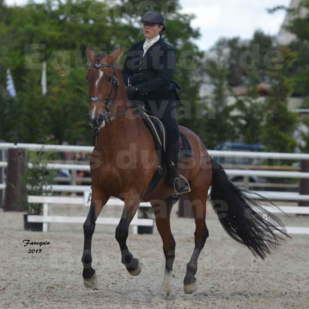 Salon Equitaine de Bordeaux 2015 - Concours d'Equitation de Travail avec chevaux Ibériques - E - 7