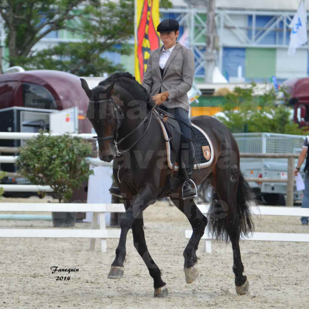 Salon Equitaine de Bordeaux en 2014 - concours Equitation de travail - Épreuve de Dressage - 05