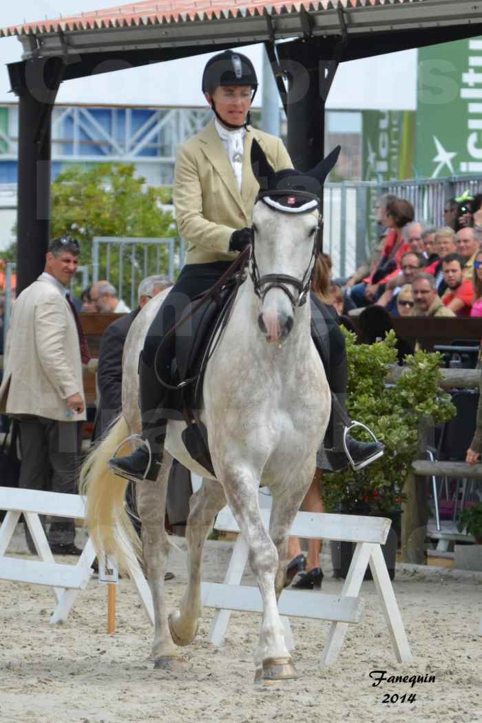 Salon Equitaine de Bordeaux en 2014 - concours Equitation de travail - Épreuve de Dressage - 13