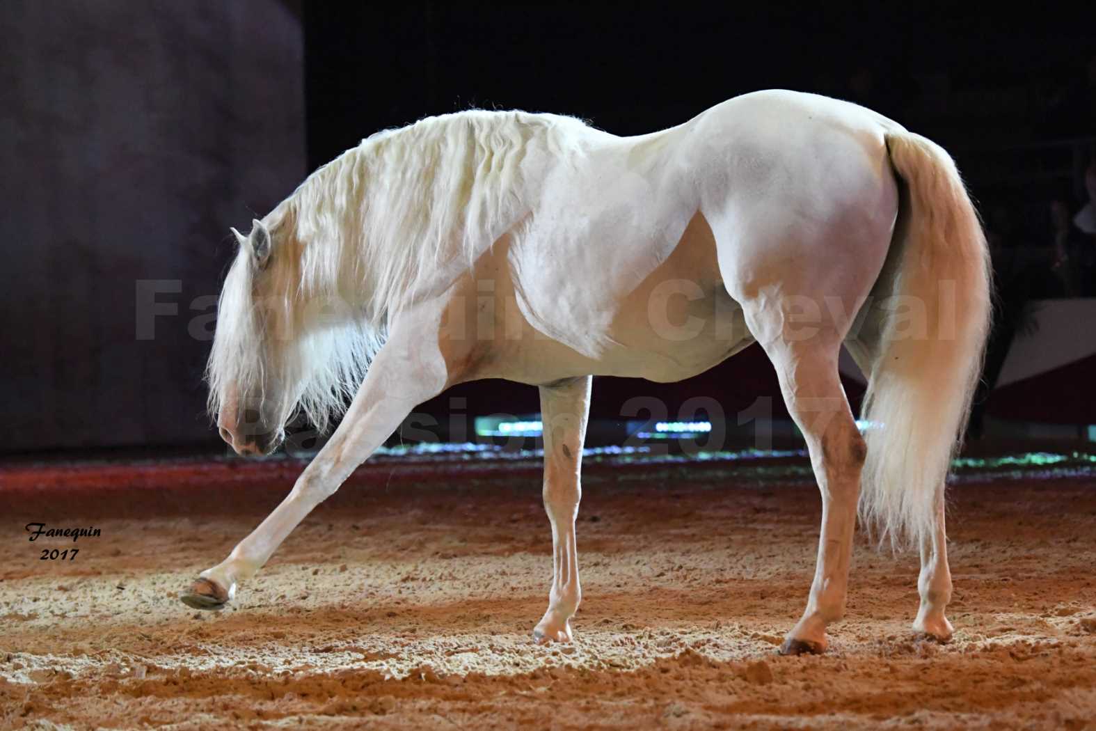 Cheval Passion 2017 - gala des Crinières d'OR - GARI ZOHER - 18