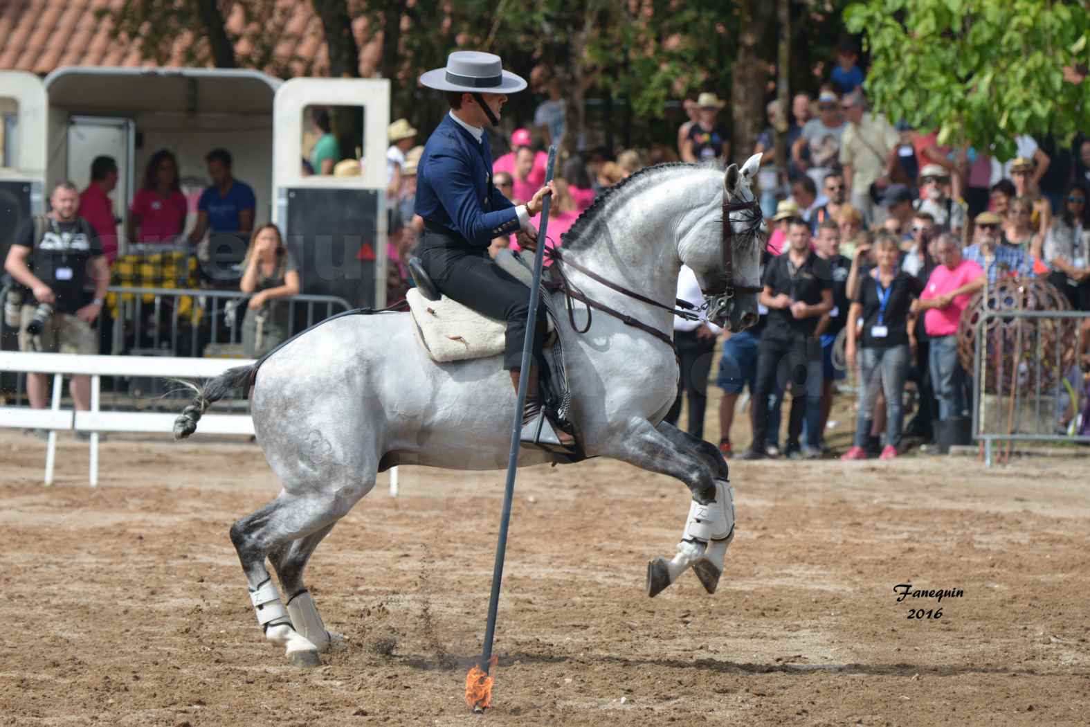 Spectacle équestre le 3 Septembre 2016 au Domaine de GAILLAC - Démonstration de Doma Vaquera - 3