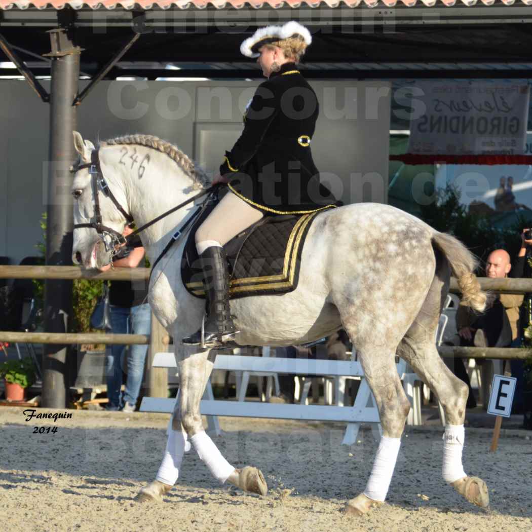 Carrousel de cavalières Equitation de travail lors du salon "Equitaine" à Bordeaux en 2014 - 62
