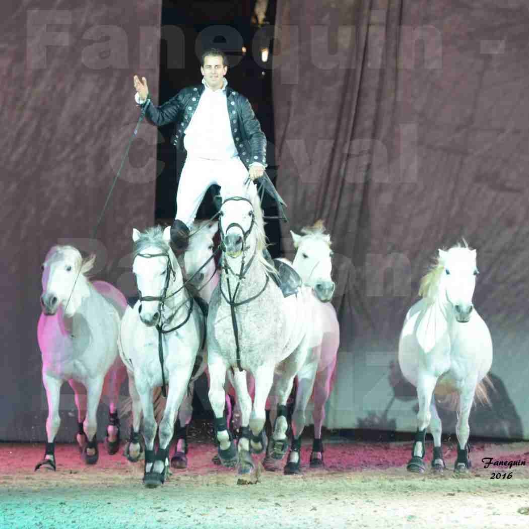 Cheval Passion 2016 - Spectacle les Crinières d'OR - LORENZO "Noir" - représentation du 23 janvier 2016 - 01