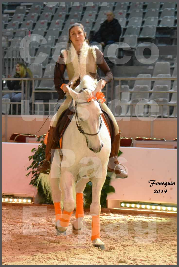 Cheval Passion 2019 - Concours de Pas Espagnol - Étalon "ZIDANE" - 08