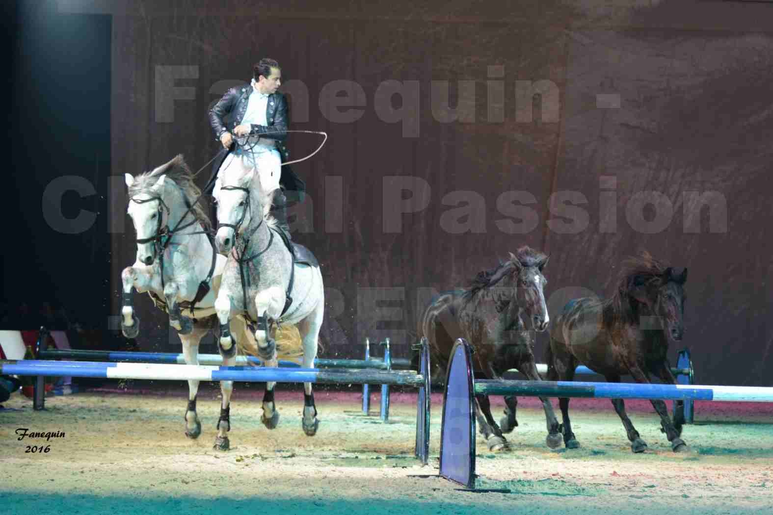 Cheval Passion 2016 - Spectacle les Crinières d'OR - LORENZO "Noir" - représentation du 23 janvier 2016 - 25